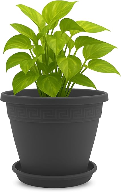 Maceta Plastico+ Plato,Fabricado en España.