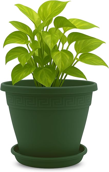 Maceta Plastico+ Plato,Fabricado en España.